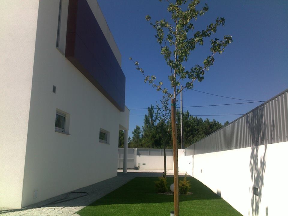 Casa005